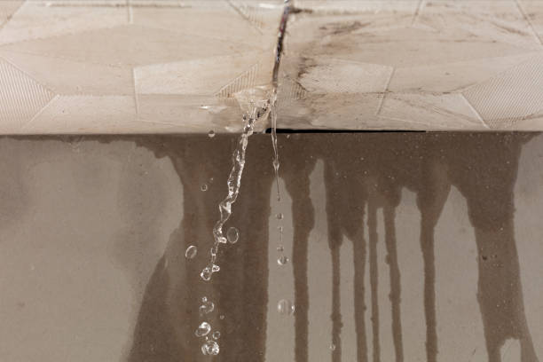 Professional Water Extraction technician working in Arapahoe, NC